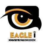 Eagle ICCTVS